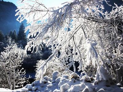 Unsere Gastë photos - Winter