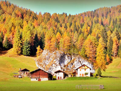 Farbige Wälder in den Dolomiten